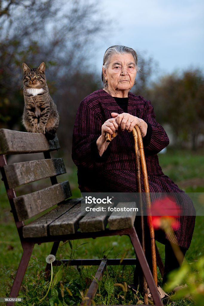 Портрет пожилая женщина и кошка сидит на скамейке на открытом воздухе - Стоковые фото Дом престарелых роялти-фри