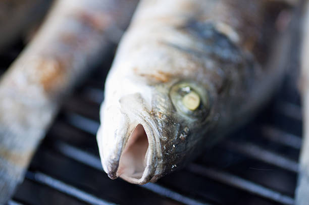 Macro shot of grilled fish stock photo