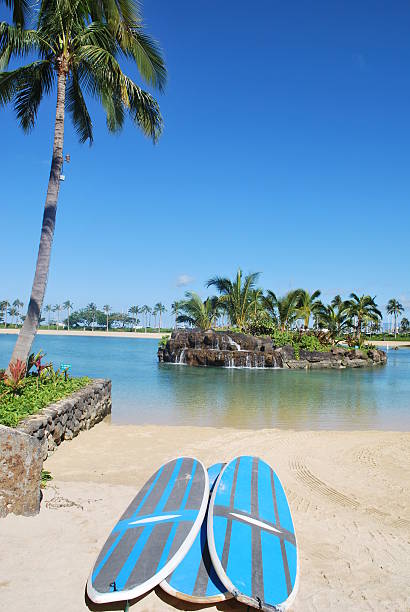 pararse paddleboards, waikiki - hawaii islands big island waterfall nobody fotografías e imágenes de stock