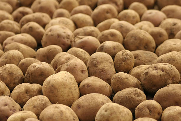 Potatoes suitable for background stock photo