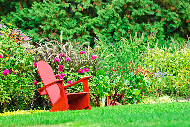 la maison de design - landscaped front or back yard grass green photos et images de collection