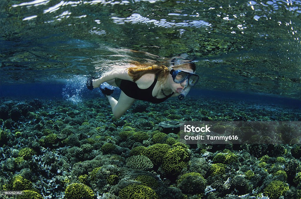 Garota mergulho livre - Foto de stock de Papua-Nova Guiné royalty-free