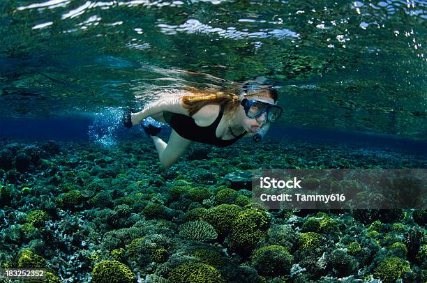 Jovem Menina Mergulho Livre - Fotografias de stock e mais imagens de Papua-Nova Guiné - Papua-Nova Guiné, Máscara de Mergulho, Nadar