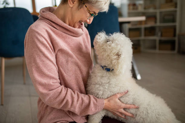 istock Woman playing with her dog at home 1832525146