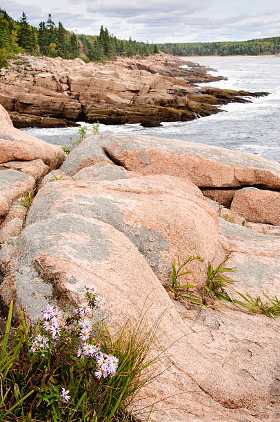 istock Rocky coast of Acadia National Park 183252814