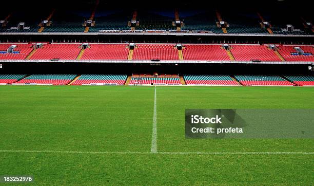 Stadium Ground Level Stock Photo - Download Image Now - Soccer, Stadium, Soccer Field