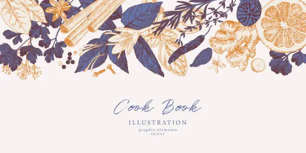 Vector illustration of Cook book herbs and spices top border, culinary banner