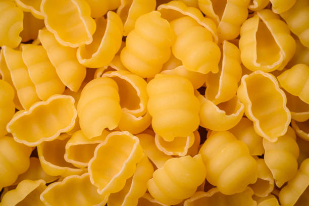 istock Raw durum wheat gnocchi pasta with salt and spices in a ceramic plate 1832543275