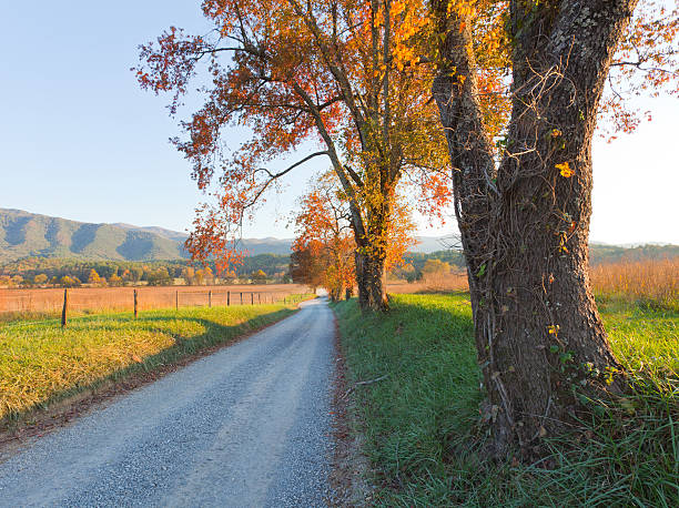 istock Autumn Country Road 183254771