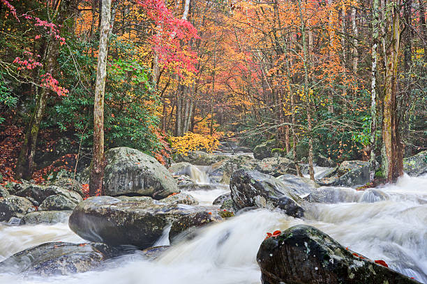 automne cascade dans le smoky mountains - rapid appalachian mountains autumn water photos et images de collection