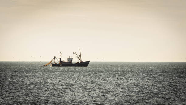istock fishing trawler boat at open sea 1832548597