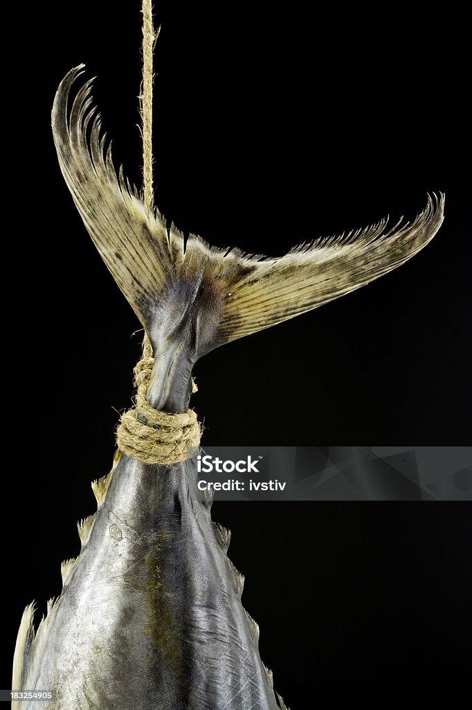 Colgando de una cadena. - Foto de stock de Colgar libre de derechos