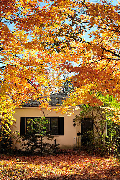 istock House in an autumn among trees 183255565