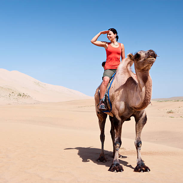istock Young woman riding on the camel 183255680