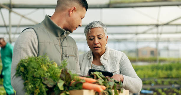 Mature woman, greenhouse and talking with working and agriculture work with a smile of farmer. Sustainability, plants and garden soil with agro career and farming with produce and growth inspection Mature woman, greenhouse and talking with working and agriculture work with a smile of farmer. Sustainability, plants and garden soil with agro career and farming with produce and growth inspection greenhouse nightclub nyc photos stock pictures, royalty-free photos & images