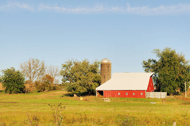 istock Iowa Farm Barn and Silo with Pasture in Foreground 183256655