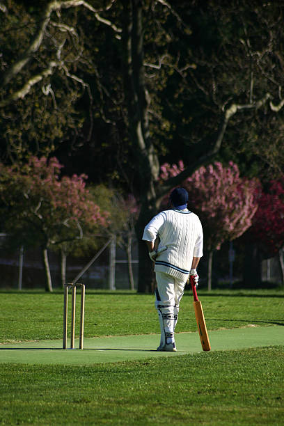 Cricket Match Guy waiting to bat at a cricket match. drive ball sports photos stock pictures, royalty-free photos & images