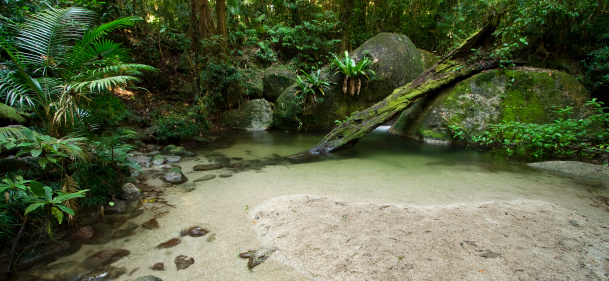 Wurrmbu Creek in Mossman Gorge north of Port Douglas in Daintree National Park.