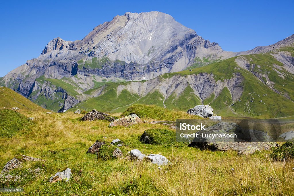 Sommerweide - Lizenzfrei Alpen Stock-Foto