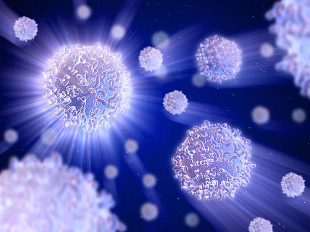 лейкоциты - immune cell стоковые фото и изображения