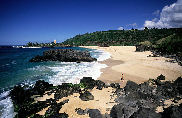 istock USA Hawaii O'ahu, North Shore, Waimea Bay. 183257992