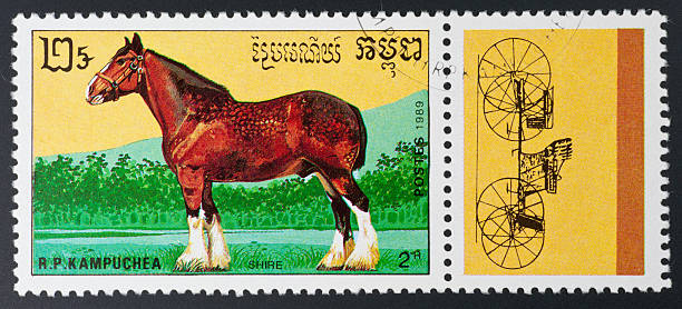 istock motive stamp Kampuchea - draft horses Shire Horse 183258260