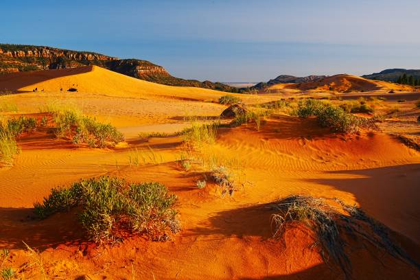istock Coral Pink Sand Dunes State Park Utah 1832584979
