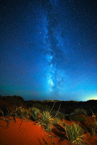 istock Coral Pink Sand Dunes State Park Utah 1832586100