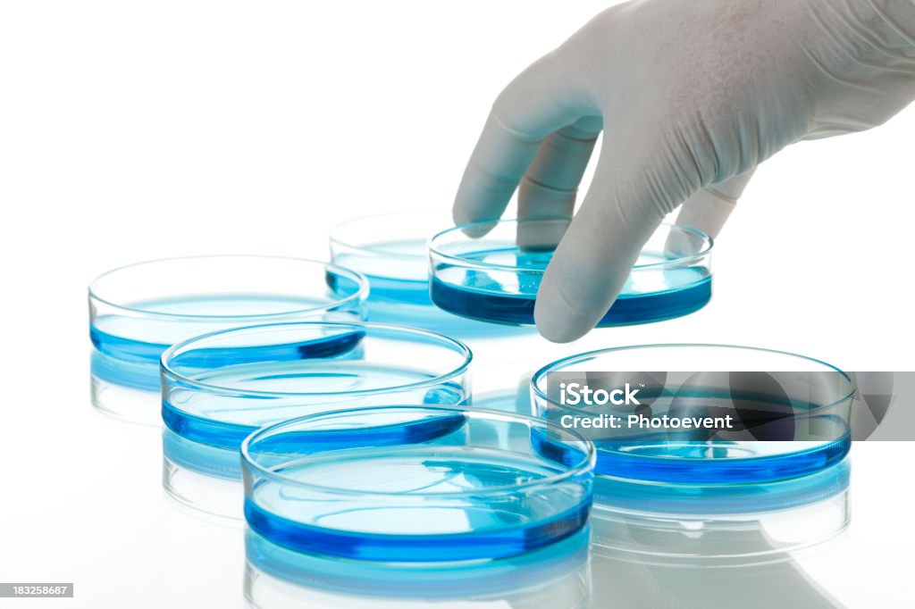 Colocando um petridish - Foto de stock de Disco de Petri royalty-free