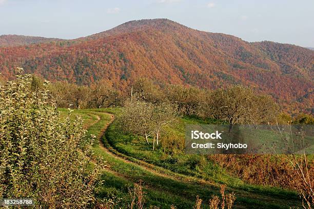 Bergobstgarten Stockfoto und mehr Bilder von Agrarbetrieb - Agrarbetrieb, Blue Ridge Parkway - Gebirge Appalachian Mountains, Appalachen-Region