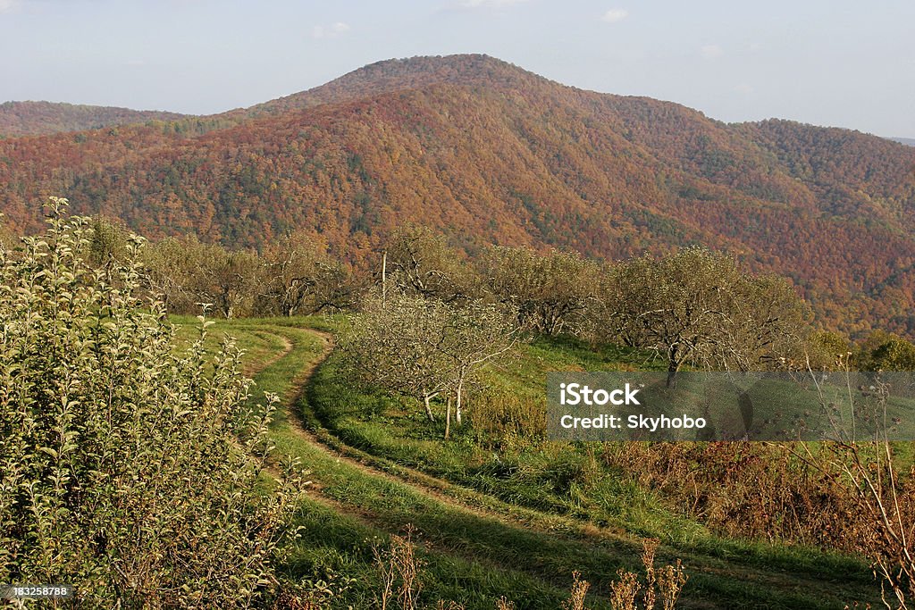 Frutteto di montagna - Foto stock royalty-free di Catena montuosa del Blue Ridge