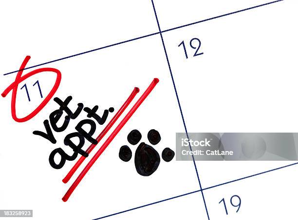 Veterinario Appuntamento - Fotografie stock e altre immagini di Animale - Animale, Bianco, Calendario