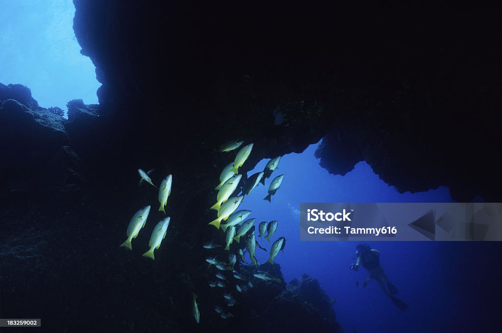 Tubo di Lava Grotta - Foto stock royalty-free di Caverna