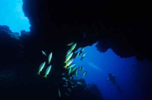 Woman diver in Hawaiian Cave