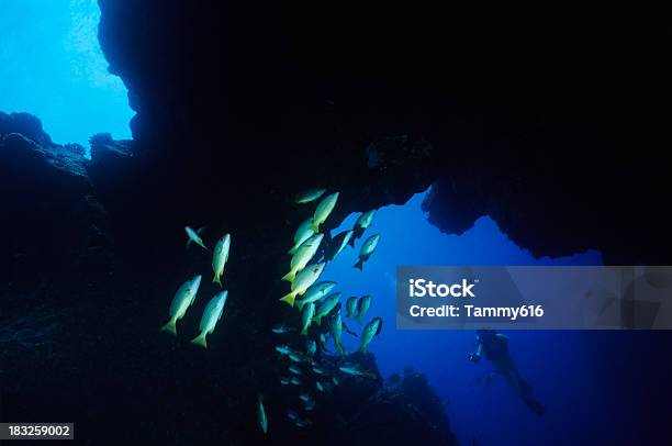 Foto de Tubo De Lava De Cavernas e mais fotos de stock de Gruta - Características da terra - Gruta - Características da terra, Lutjanídeo, Abaixo