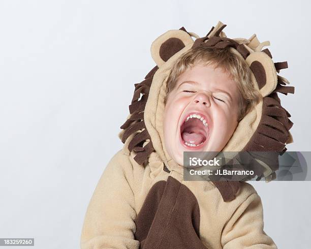 Roaring Laughing Lion Stock Photo - Download Image Now - Child, Roaring, Lion - Feline