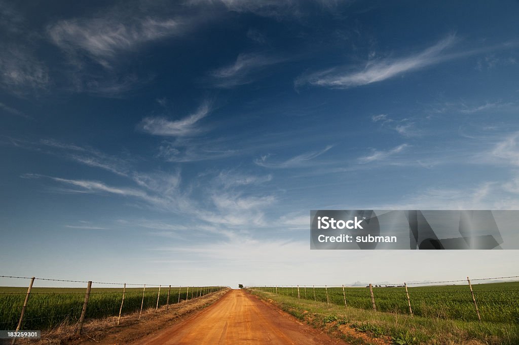 Dirt road "Dirt road in between fields, with big blue sky. South Africa." Agricultural Field Stock Photo