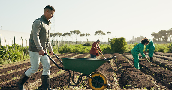 Man, wheelbarrow and soil for working on farm for agribusiness, landscaping or gardening in countryside. Person, walk and field for nutrition, eco development or future growth by planting for harvest