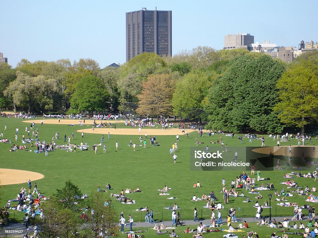 Central Park: El gran prado - Foto de stock de Parque público libre de derechos