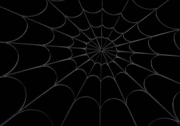 The web stock photo