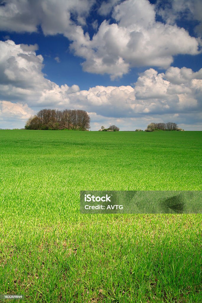 Campo de primavera sob céu nublado II - Foto de stock de Agricultura royalty-free