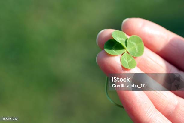 집어들기 Luck 네잎 클로버에 대한 스톡 사진 및 기타 이미지 - 네잎 클로버, 개념, 공휴일