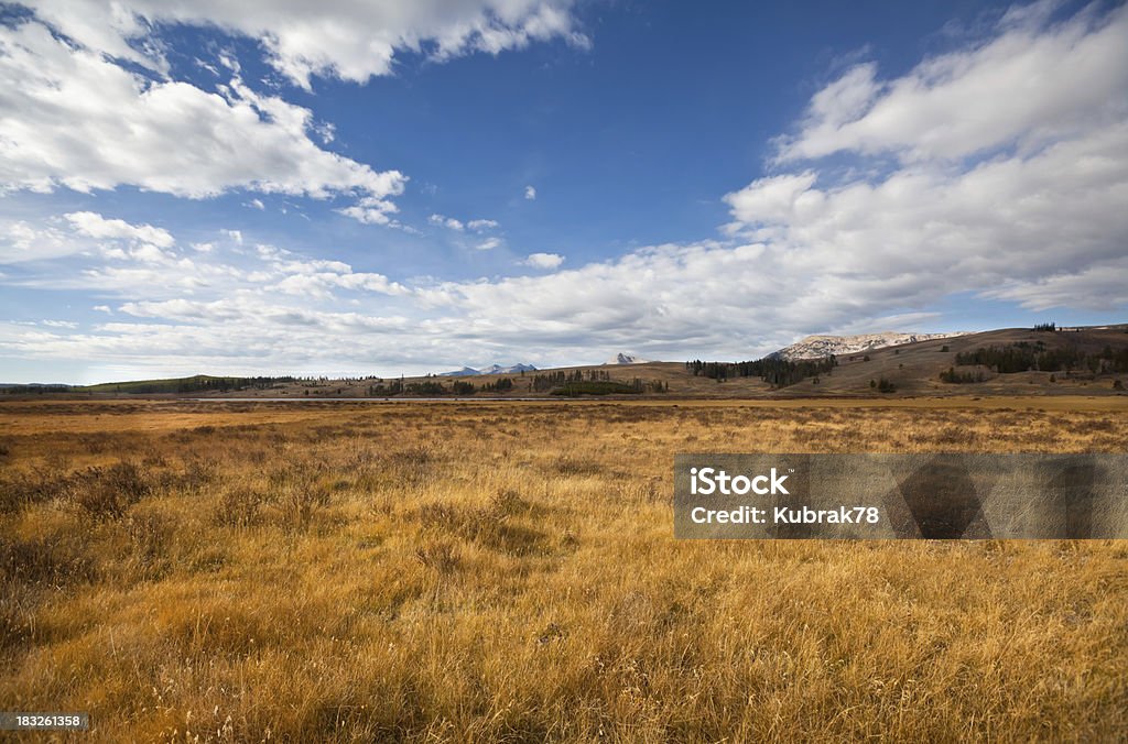 Vast and open landscape vast and open landscape- golden grass of Yellowstone National Park in fall Montana - Western USA Stock Photo