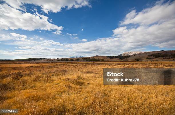 Vast And Open Landscape Stock Photo - Download Image Now - Montana - Western USA, Plain, Autumn