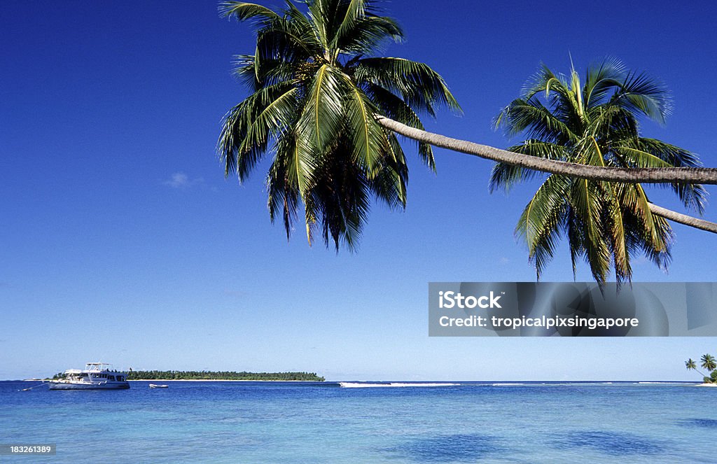 Maldivas, southern atolls, islas. - Foto de stock de Agua libre de derechos