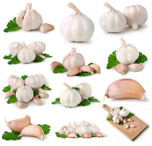 마늘 컬레션 - garlic clove isolated white 뉴스 사진 이미지