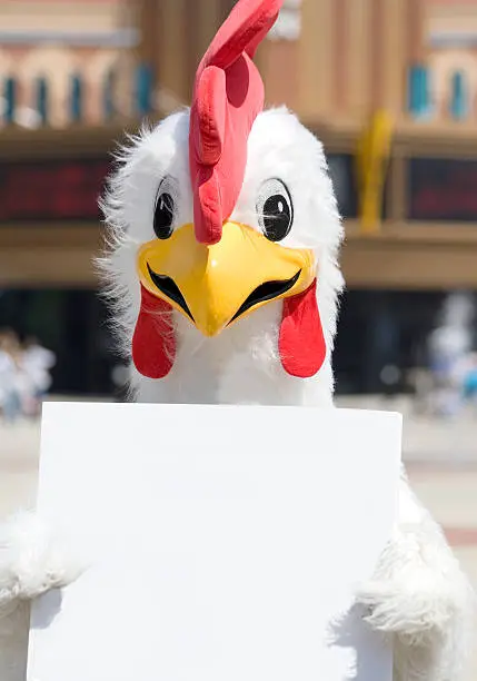 A person in a chicken costume holding a blank sign with room for copy.