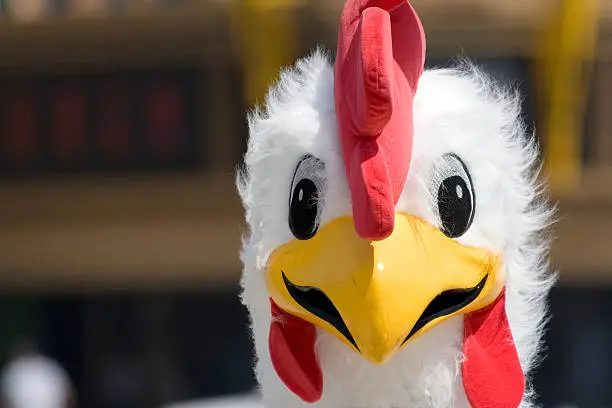 A person in a chicken costume.