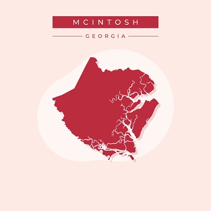 Vector illustration vector of McIntosh map Georgia