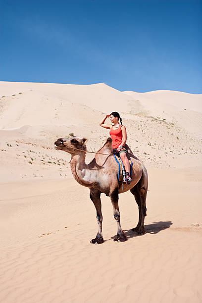 istock Young woman riding on the camel 183262023